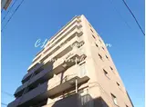 キャメルプレイス