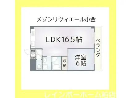メゾンリヴィエール小金(1LDK/6階)の間取り写真