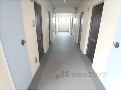 メゾンドパプリカ(1K/1階)の外観写真