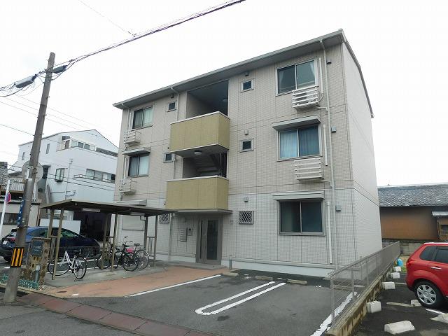 エバーメイト 白雲