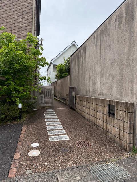 フェニックス