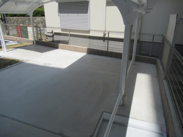 ナスタチウム