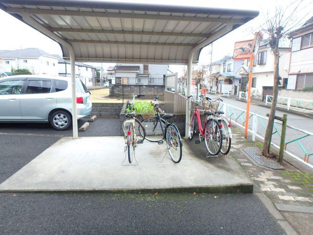 アムールY/S