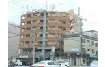 GATO D.M北山