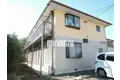 オーキッドベル