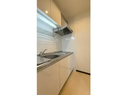 フジパレス桑津II番館(1K/3階)のキッチン写真