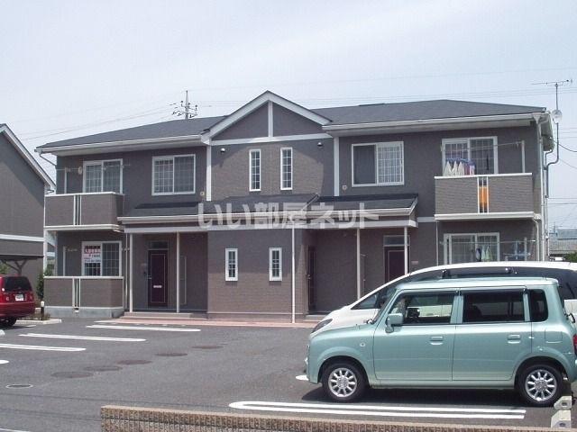アプリコットB