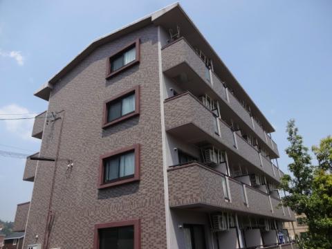 フリージア