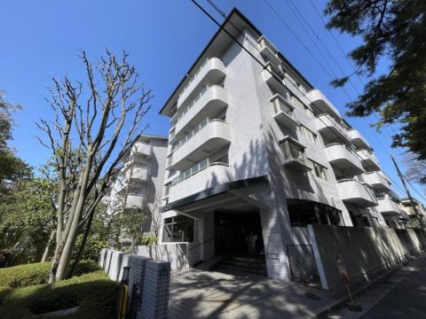 白鷹松下町マンション(4LDK/5階)
