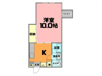 バリオス天文館(1K/4階)の間取り写真