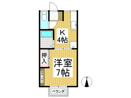 ハイツコサカイ(1K/1階)の間取り写真