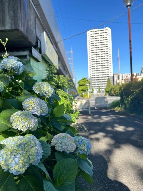 BRILLIA TOWER 前橋(3LDK/15階)