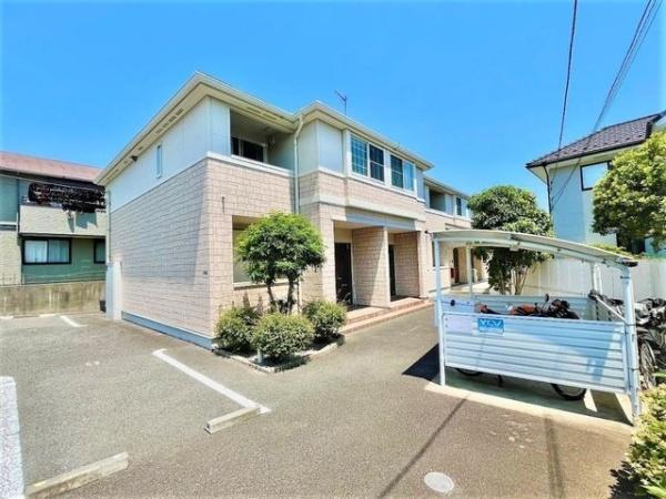 ゼルコバ・セラータ