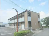 レオネクストシャルマン金岐