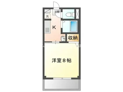 ソフィア(1K/1階)の間取り写真