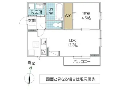 シュトラール(1LDK/1階)の間取り写真