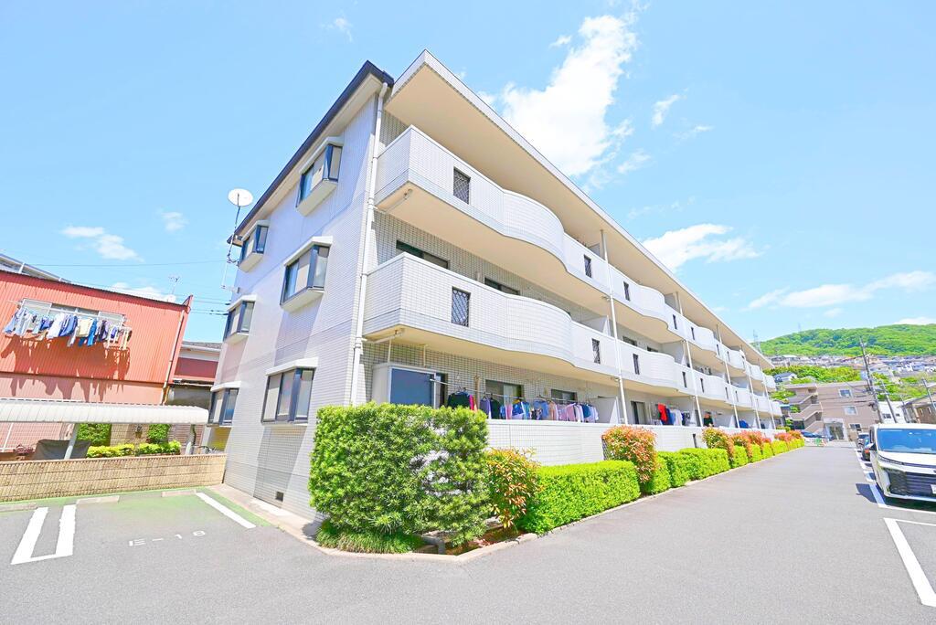 エントピア矢野