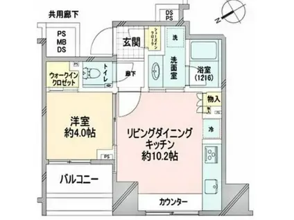 クレヴィア中目黒(1LDK/8階)の間取り写真