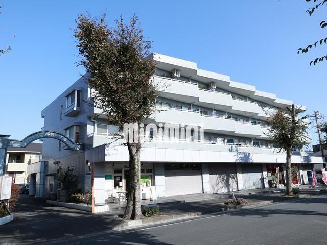 キャクタス柿の木台(3LDK/4階)