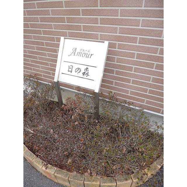アムール 日の森