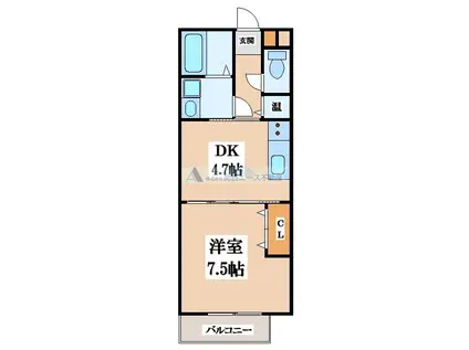 FELICE(1DK/1階)の間取り写真