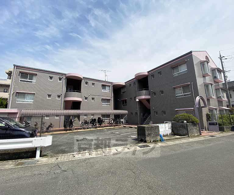 アルカサール幸
