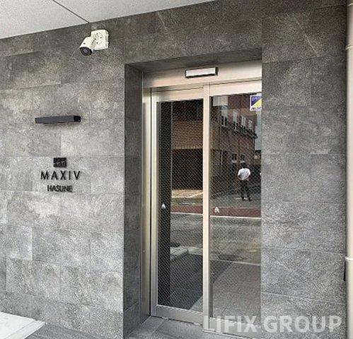 MAXIV蓮根