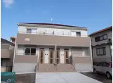メヌエットII