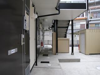 ルピナス 川上