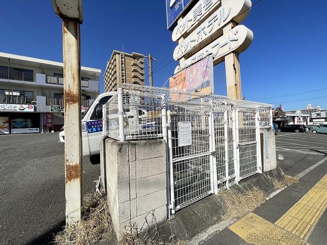 天然館II