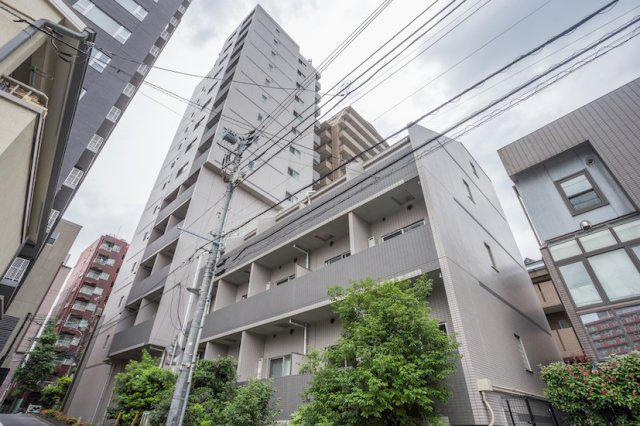 SYNEX HON-KOMAGOME