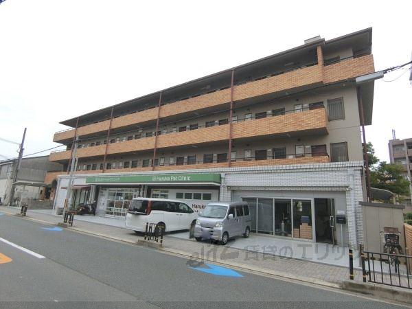 プラットホーム川端通