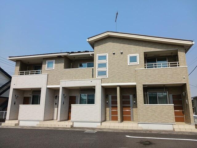 ラフィーシアB