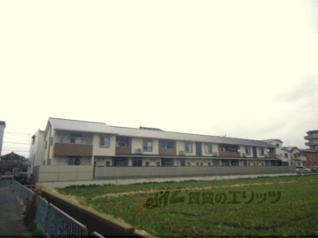 NOURISH COSIYO