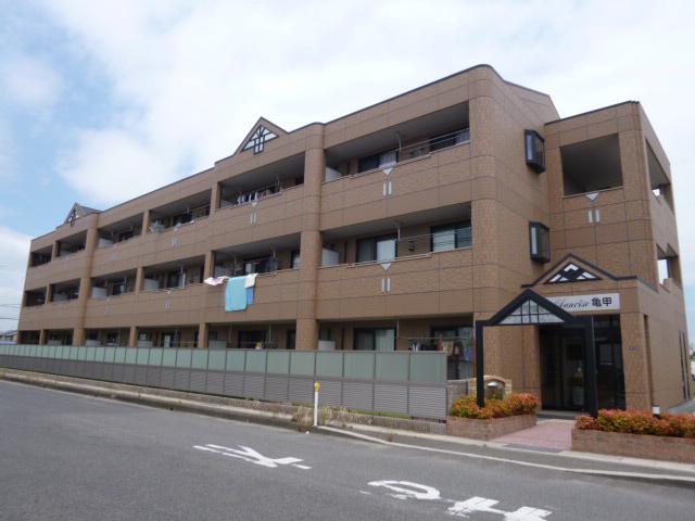 サンライズ亀甲