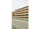 シルキー橋本