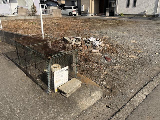センチュリーピラ
