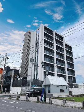 SANSEVIERIA参道