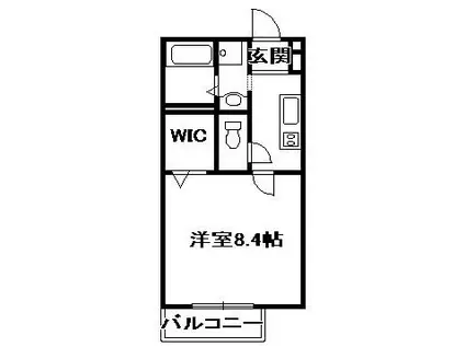 ハイツレジデンス西山(1K/1階)の間取り写真