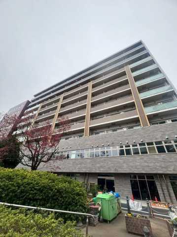 ステラテラス(2LDK/7階)