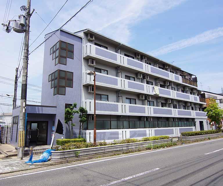 ACEIN向島