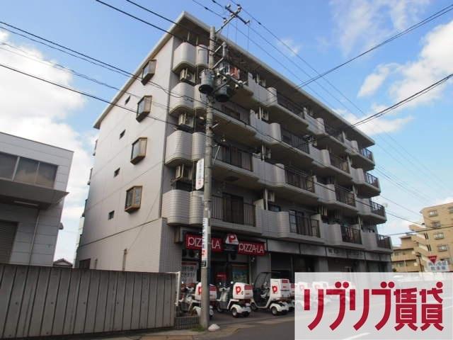 フルネスライズハチケン
