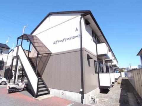 エヴァーグリーンコート