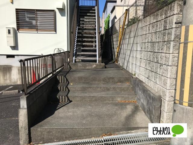 グリーンヒル光