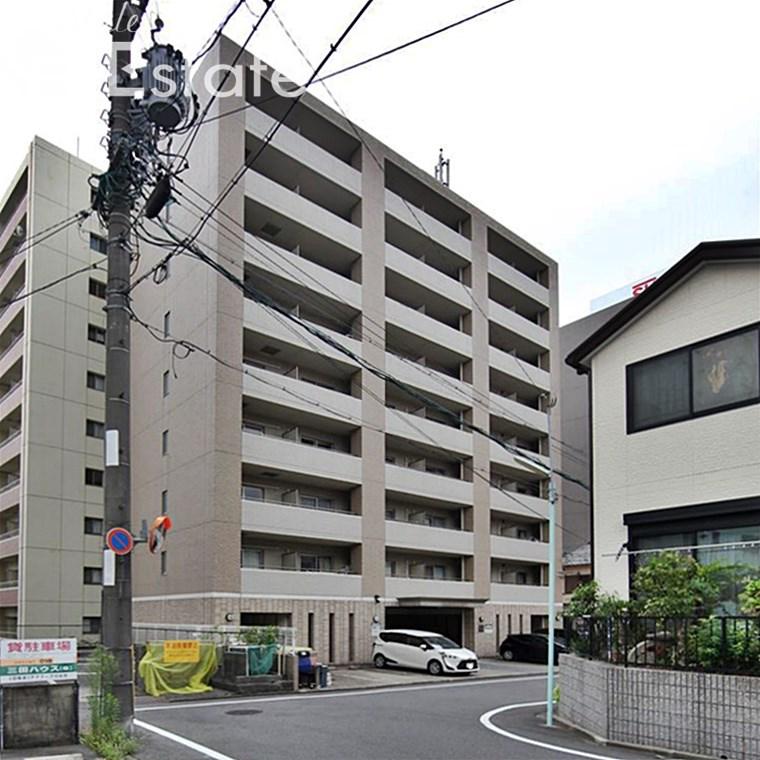 WILLDO 金山正木