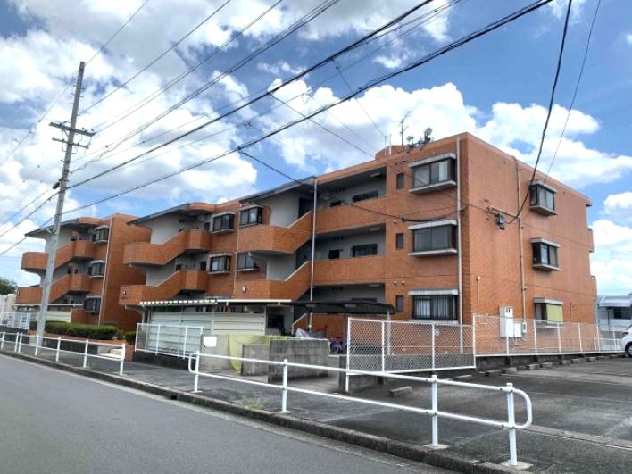 シャロンエース