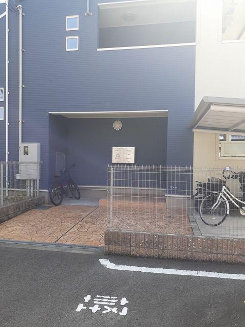 ハナミズキ