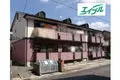 エヴァーグリーン
