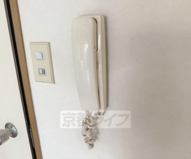 ネオハイツ生長