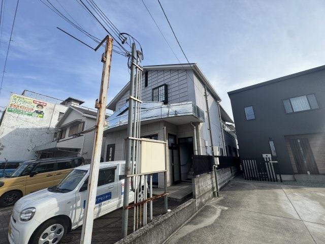 ラベンダー